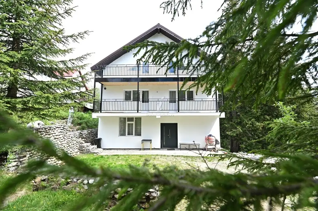 Cabana la Costel, a white lodge with two levels of balconies, seen through fir branches